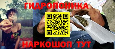 спиды Жуковский