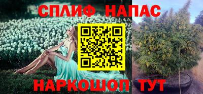таблы Заводоуковск