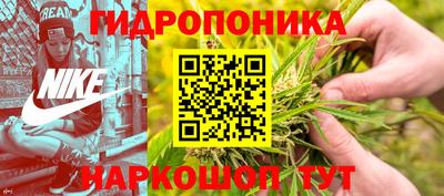 ECSTASY Заволжье